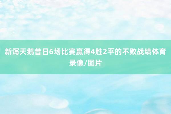 新泻天鹅昔日6场比赛赢得4胜2平的不败战绩体育录像/图片