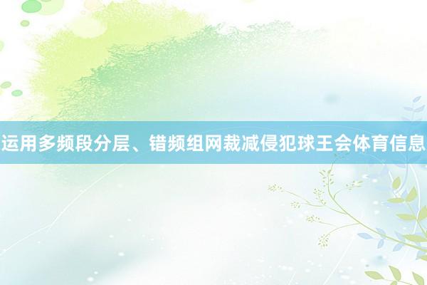 运用多频段分层、错频组网裁减侵犯球王会体育信息