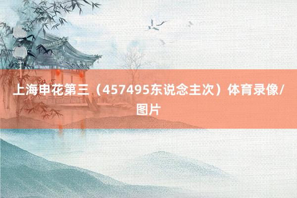 上海申花第三（457495东说念主次）体育录像/图片