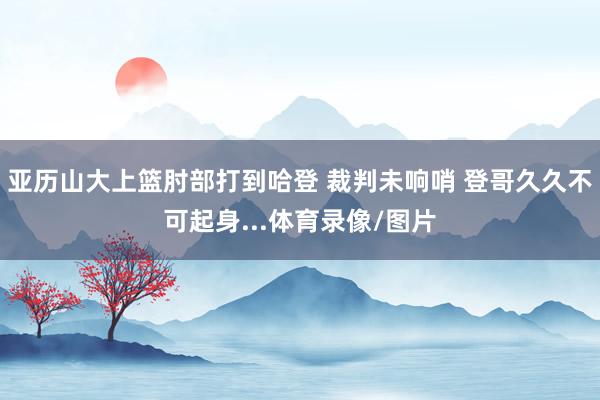 亚历山大上篮肘部打到哈登 裁判未响哨 登哥久久不可起身...体育录像/图片