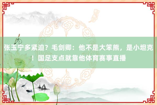 张玉宁多紧迫？毛剑卿：他不是大笨熊，是小坦克！国足支点就靠他体育赛事直播