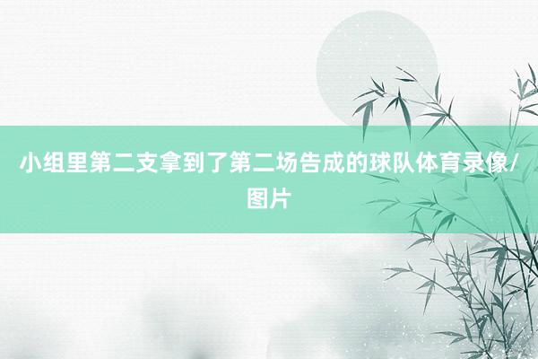 小组里第二支拿到了第二场告成的球队体育录像/图片