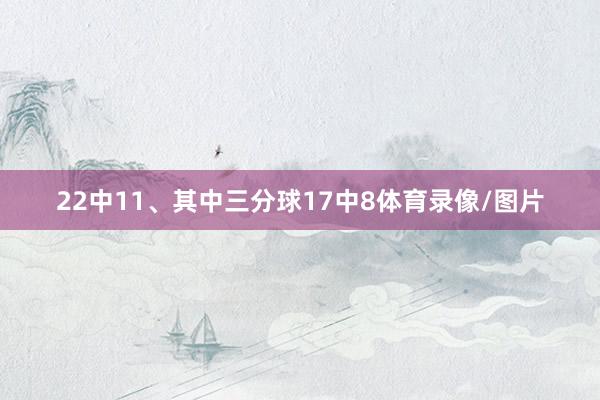 22中11、其中三分球17中8体育录像/图片