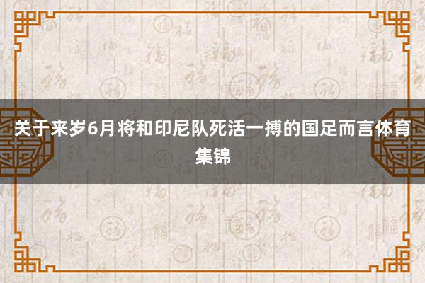 关于来岁6月将和印尼队死活一搏的国足而言体育集锦